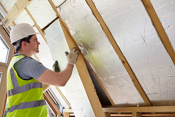 Best DIY Insulation Kits and Guidance in Pensacola, FL