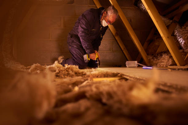 Types of Insulation We Offer in Pensacola, FL